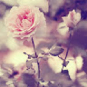 Meet your Posher, Candice